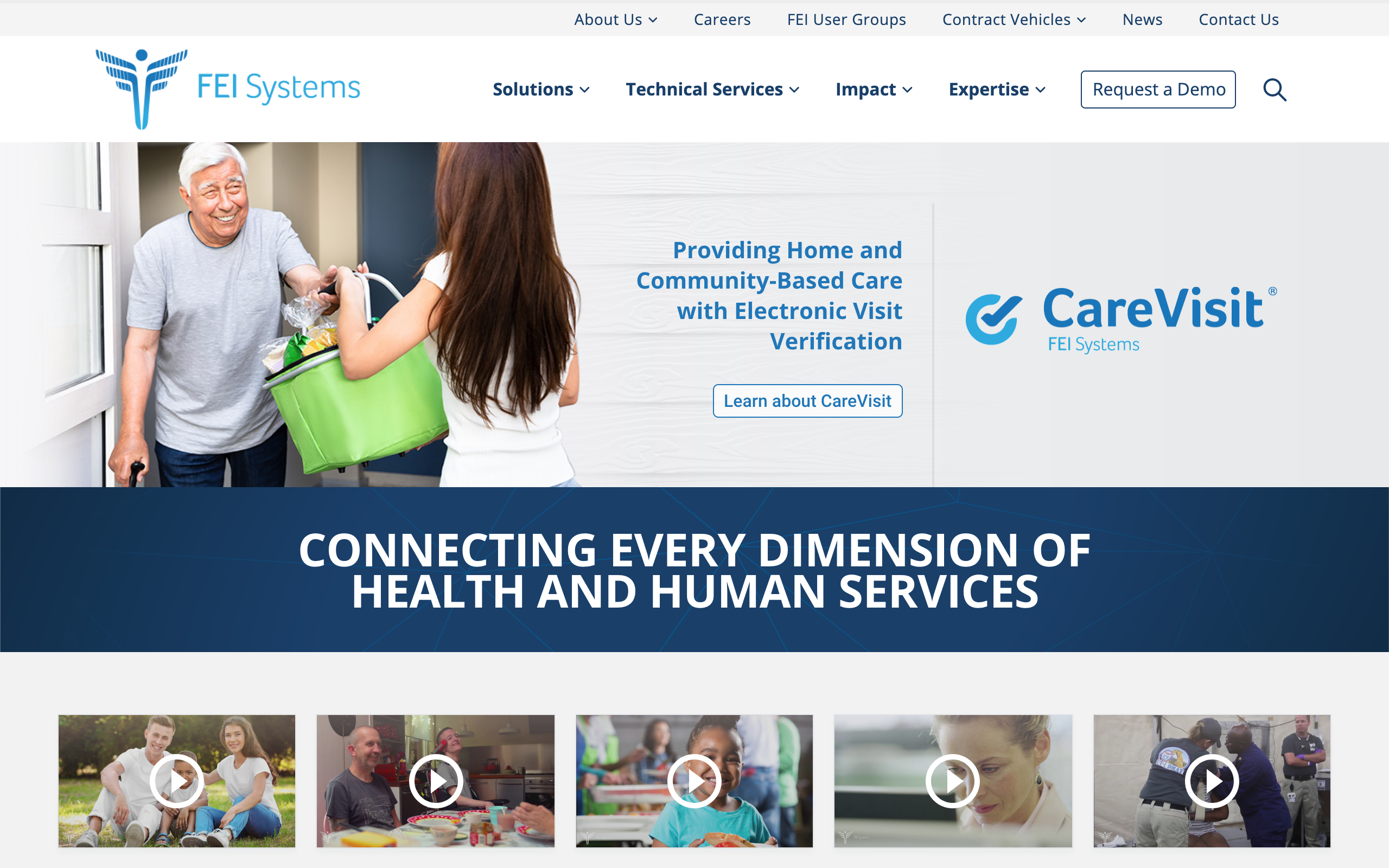 FEI Systems website screenshot